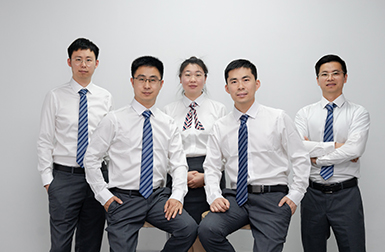 Sales Team